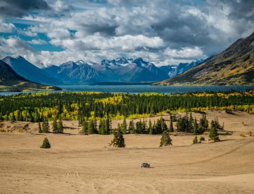 About Carcross Desert & Town Day Tour