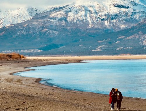 Kluane National Park Day Tour