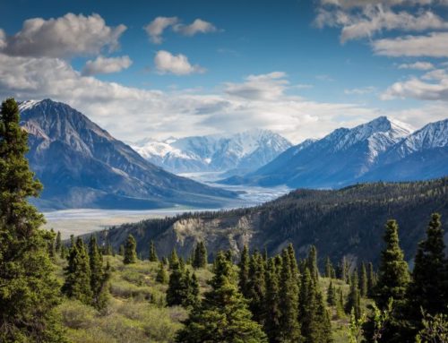About Kluane National Park Day Tour